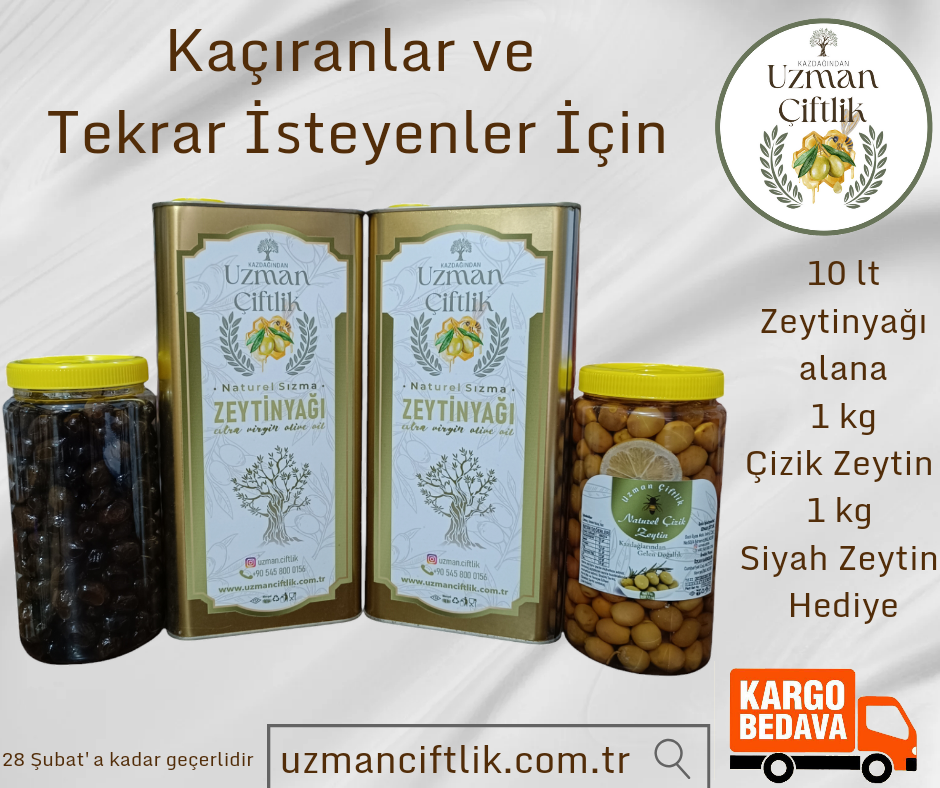 Zeytinyağı Kampanyası